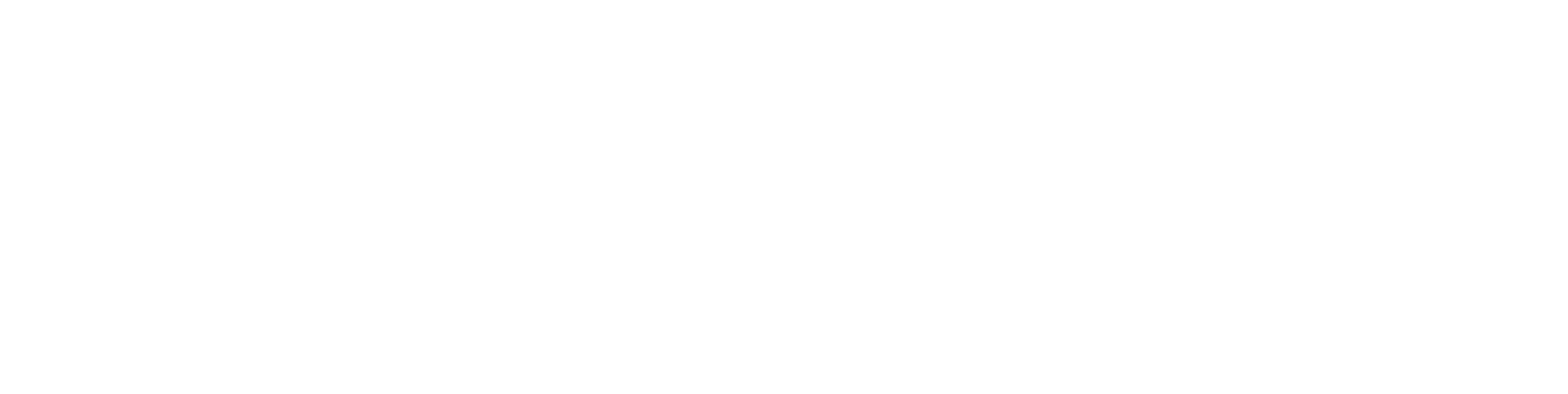 Logo_Pinnacle Marketing